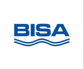 Bisa